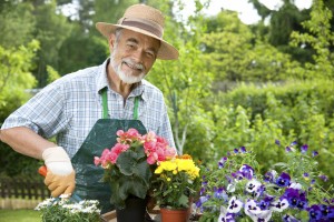 Man working in flower garden