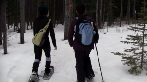 Snowshoeing Kananaskis - walking 2