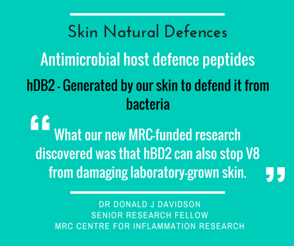 Skin defences against staph bacteria protease v8